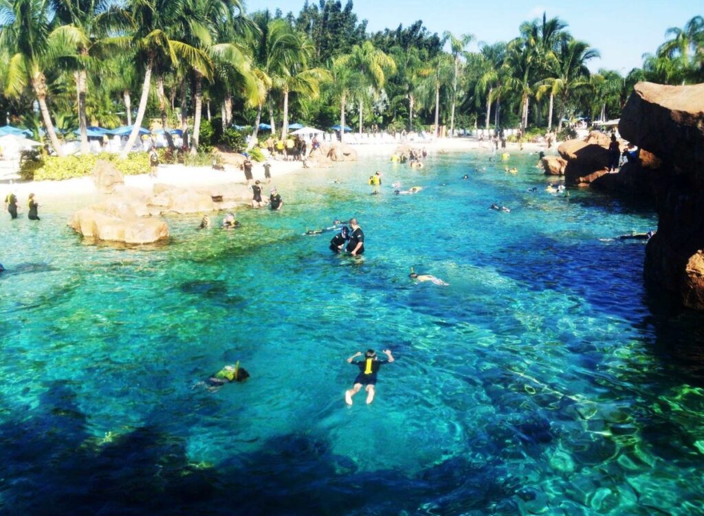 Visitantes praticando snorkel no Grand Reef do Discovery Cove.