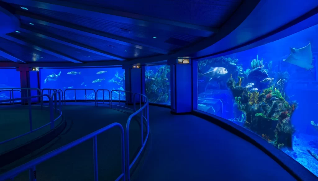 Aquário gigante com vida marinha no The Seas com Nemo no Epcot