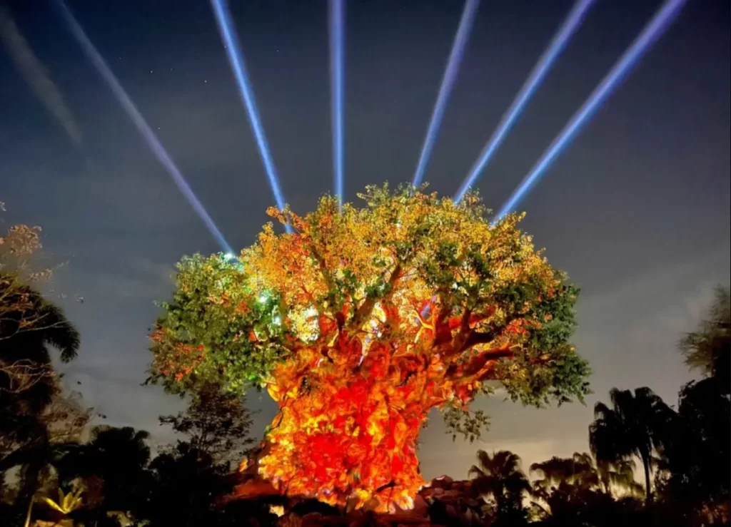 Projeção noturna na Árvore da Vida no Animal Kingdom