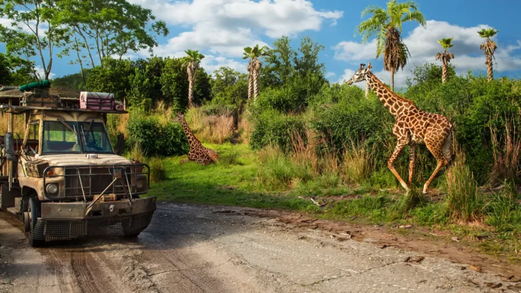 Animal Kingdom Com Crianças - Girafa caminhando perto do carro do Kilimanjaro Safaris