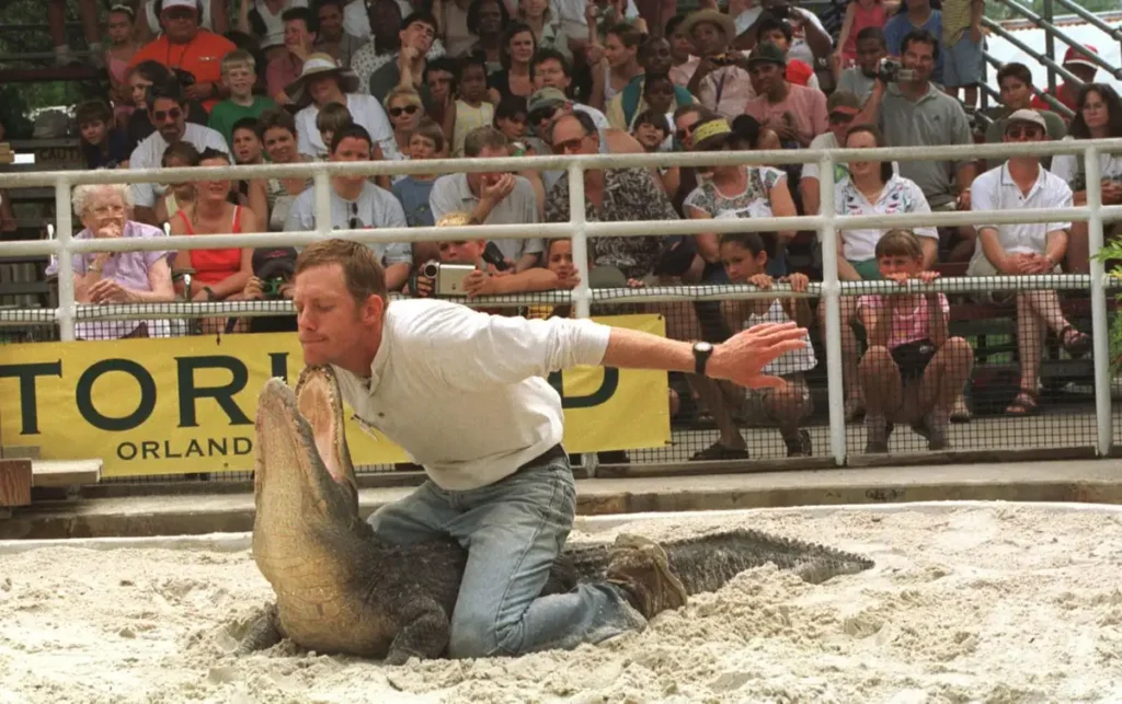 Show ao vivo com jacarés no Gatorland Orlando, uma experiência única!