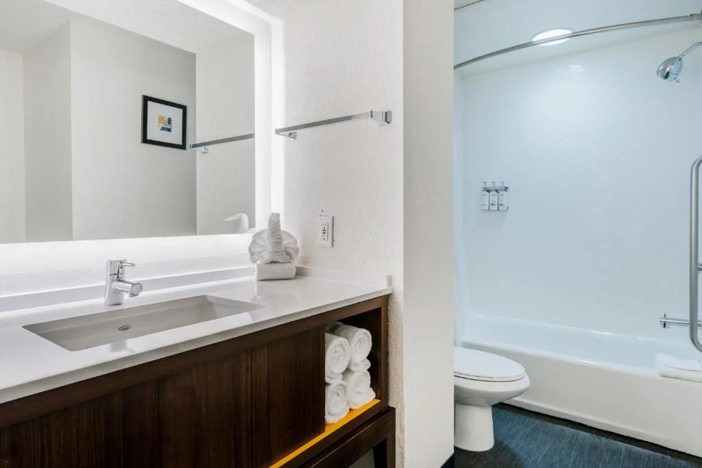 holiday inn international drive icon park 2