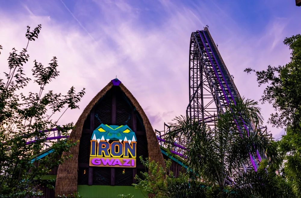 A Iron Gwazi é a atração mais procurada do Busch Gardens por quem busca adrenalina extrema.