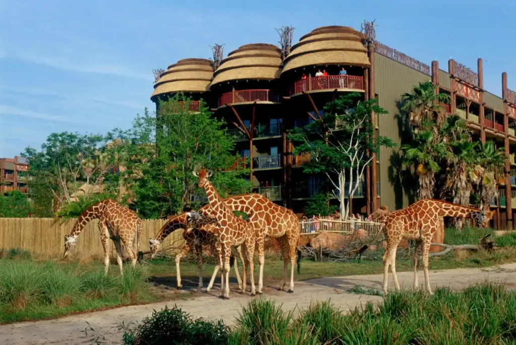 Girafas podem ser vistas diariamente na savana exclusiva do Animal Kingdom Lodge.
