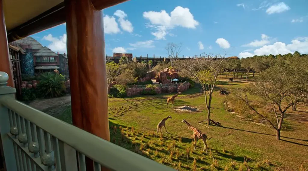 Hospede-se em um quarto Savanna View e observe girafas diretamente da varanda.