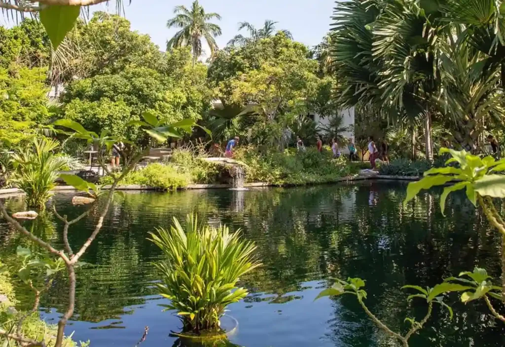 Lago no Miami Beach Botanical Garden.