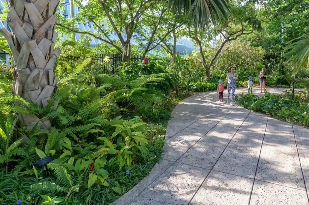 Trilha no Miami Beach Botanical Garden.
