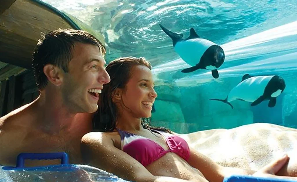 O Dolphin Plunge proporciona uma experiência subaquática com vista para os golfinhos-de-commerson no Aquatica Orlando.